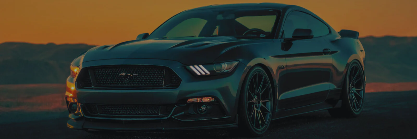 Welcome to Our Store